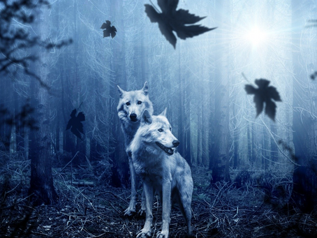 Lobo de mim
