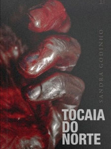 A escrita-denúncia de Sandra Godinho em Tocaia do Norte